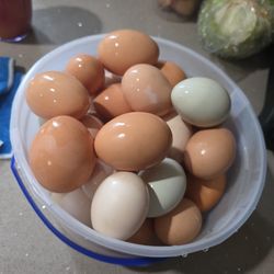 20 Huevos Organicos Por 10dlls 