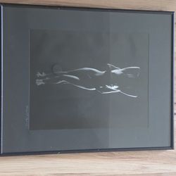 Black And White Nude Photograph By Michael Hayes 