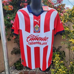 Chivas Home Soccer Jersey 2024