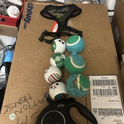 Medium Dog Kit
