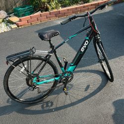 EVO electric bike
