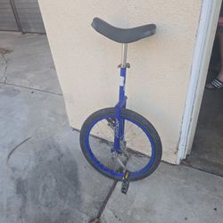 Unicycle