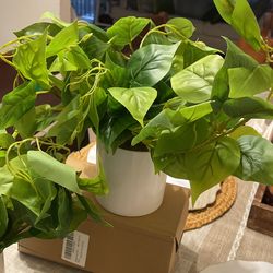 Bonitas Plantas Decorativa Artificial 