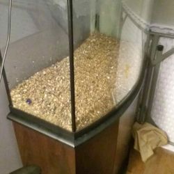 29 Gallons Fish Tank