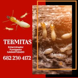 Fumigador De TERMITAS Carpa y Gas 