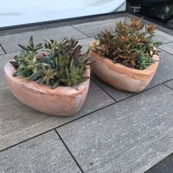 2 small heart-shape terracotta pots with succulents