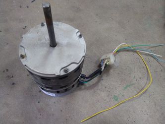 Electric Motor