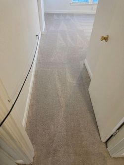 Brand new carpet for sale!