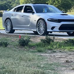 24s LE