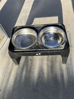 Large Raised Dog Dishes 