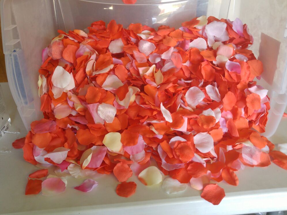 Coral mix rose petals