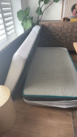 FREE!  Two twin mattresses with monkey boards