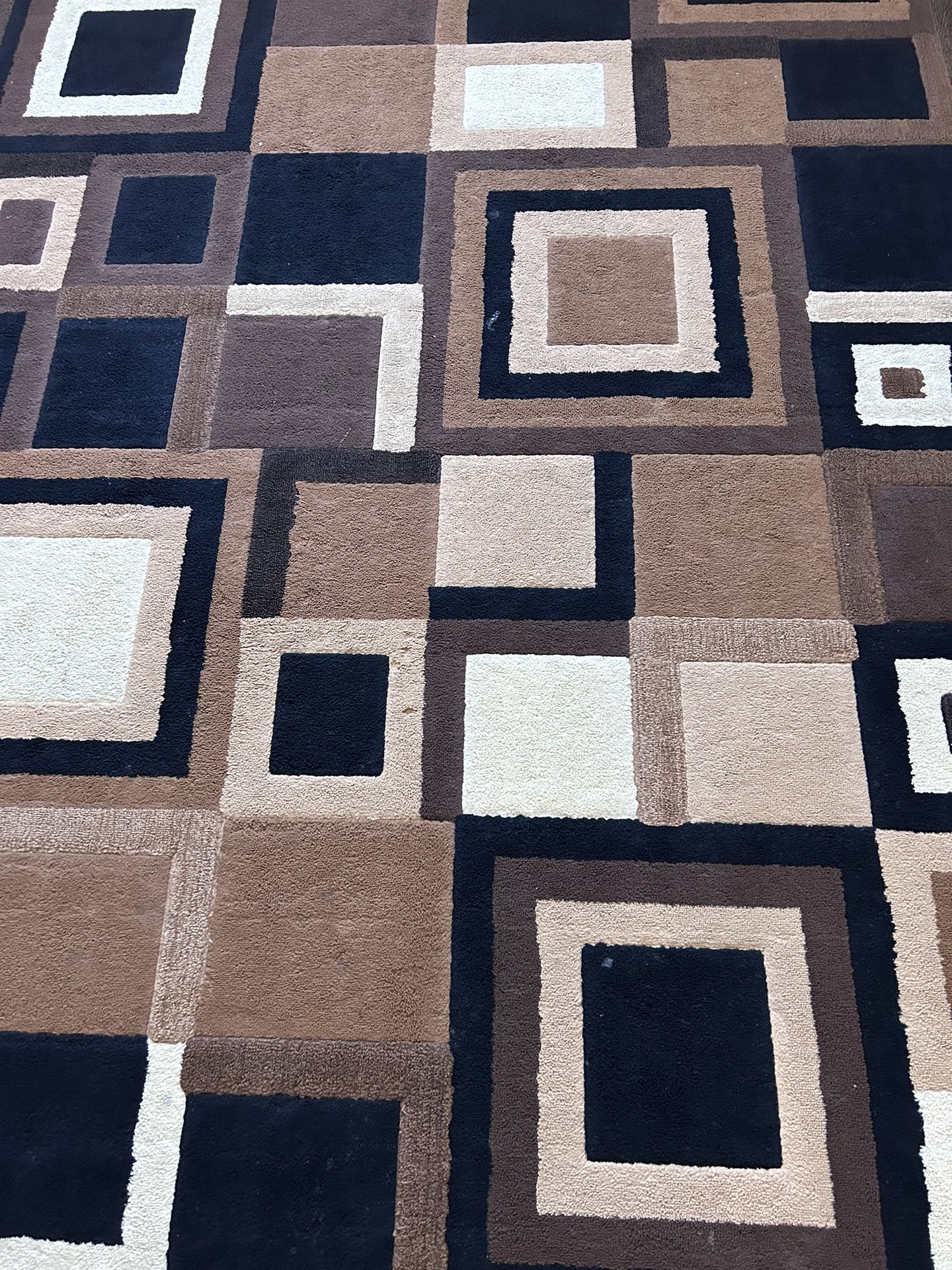 8x10 AREA RUG