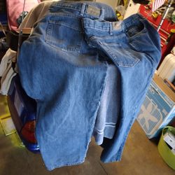 Kirkland Levi pants.