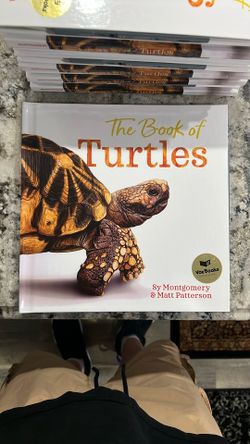 The Book Of Turtles (Talks)