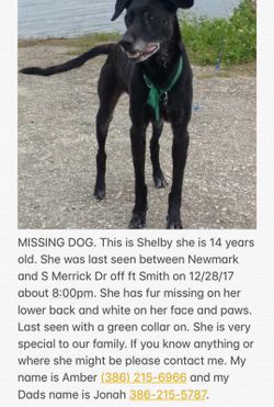 Shelby is missing please help bring her home!!