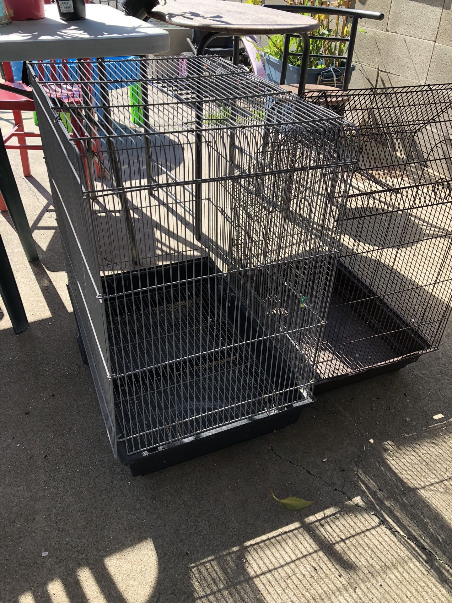 Bird Cage