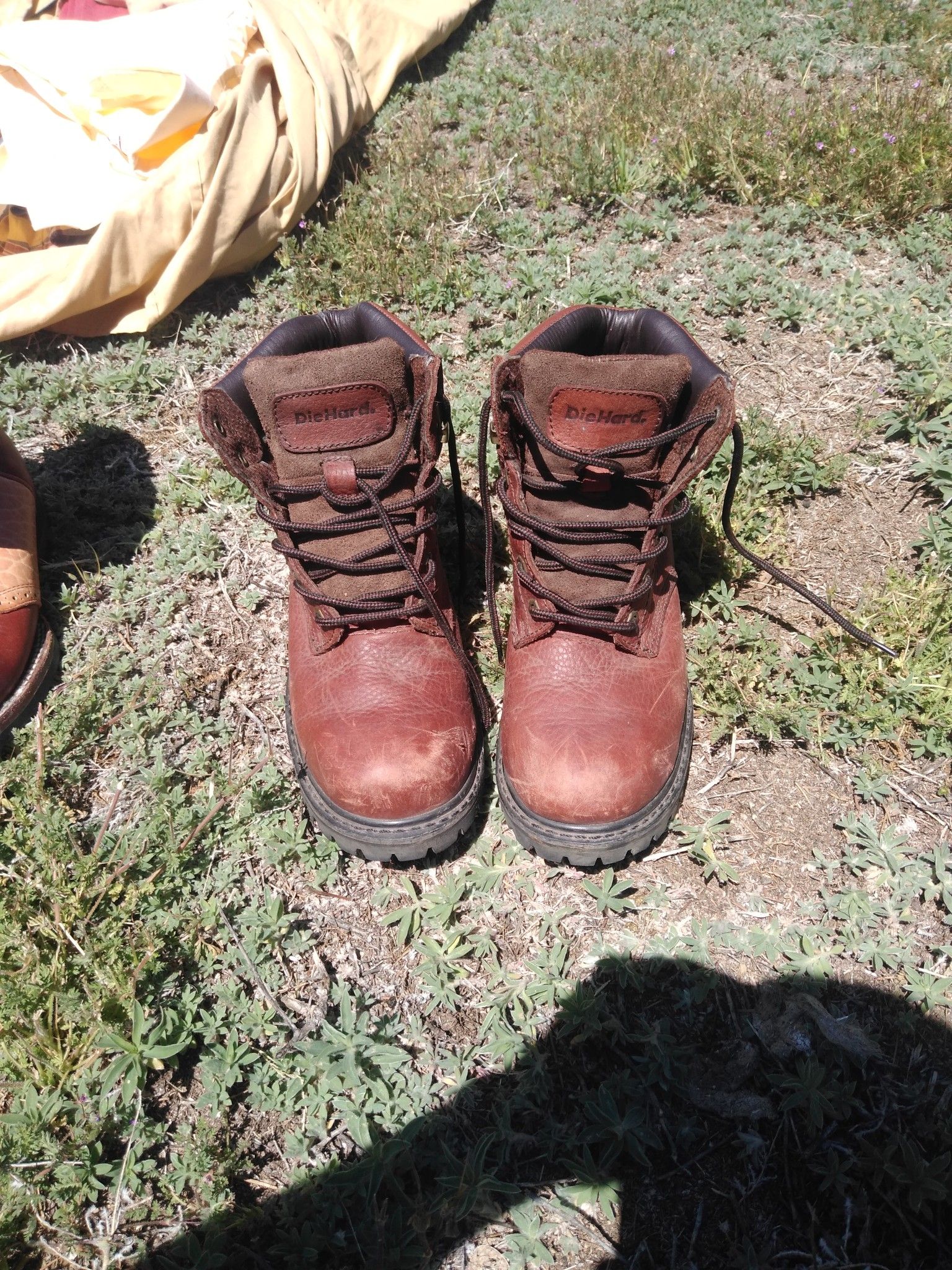 Work boots just used 4 times