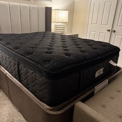 Black Beauty Rest Extra Plus Mattress