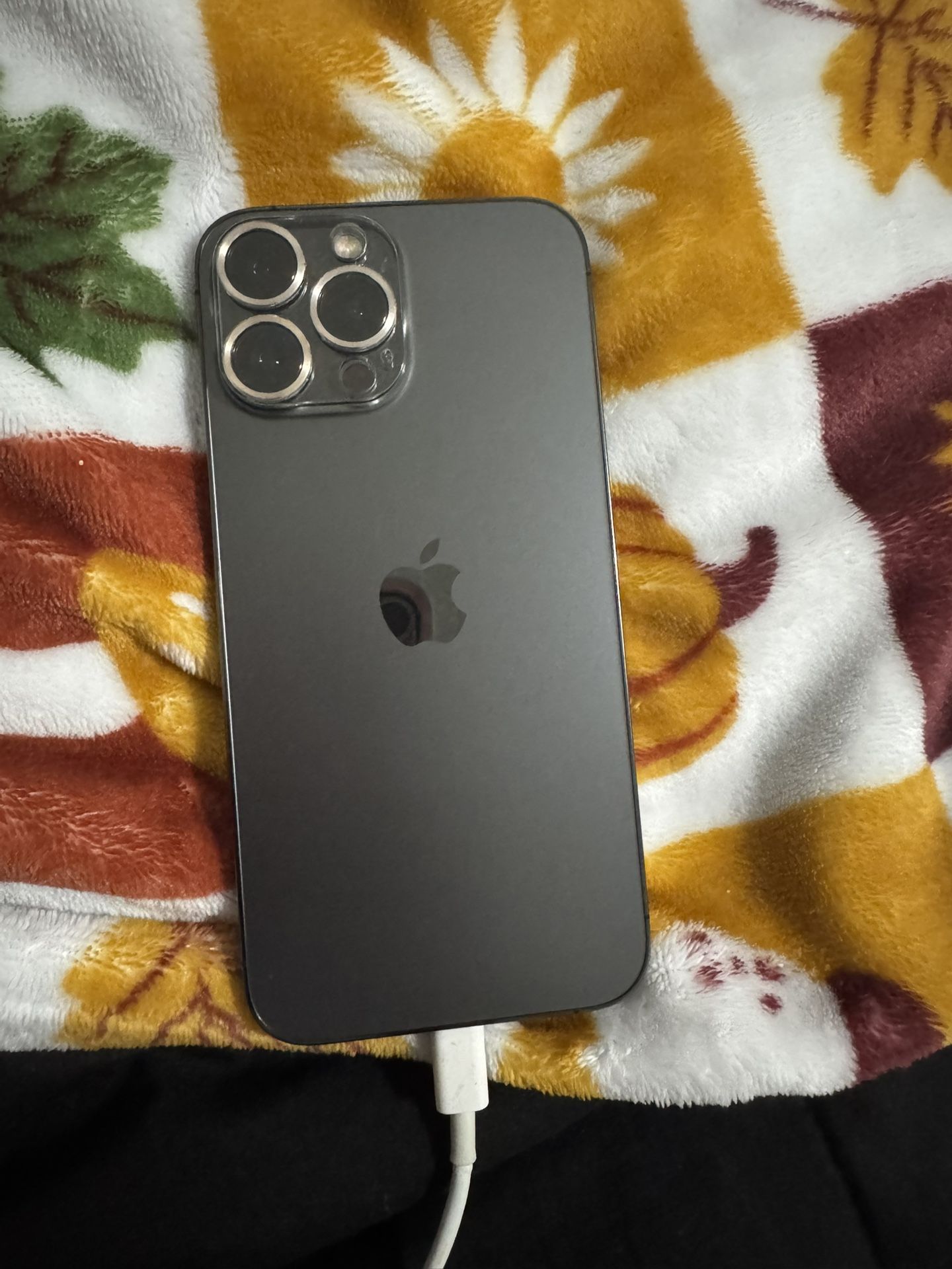 iPhone 13 Pro Max (black)
