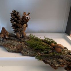Nature's Lil Creatures 