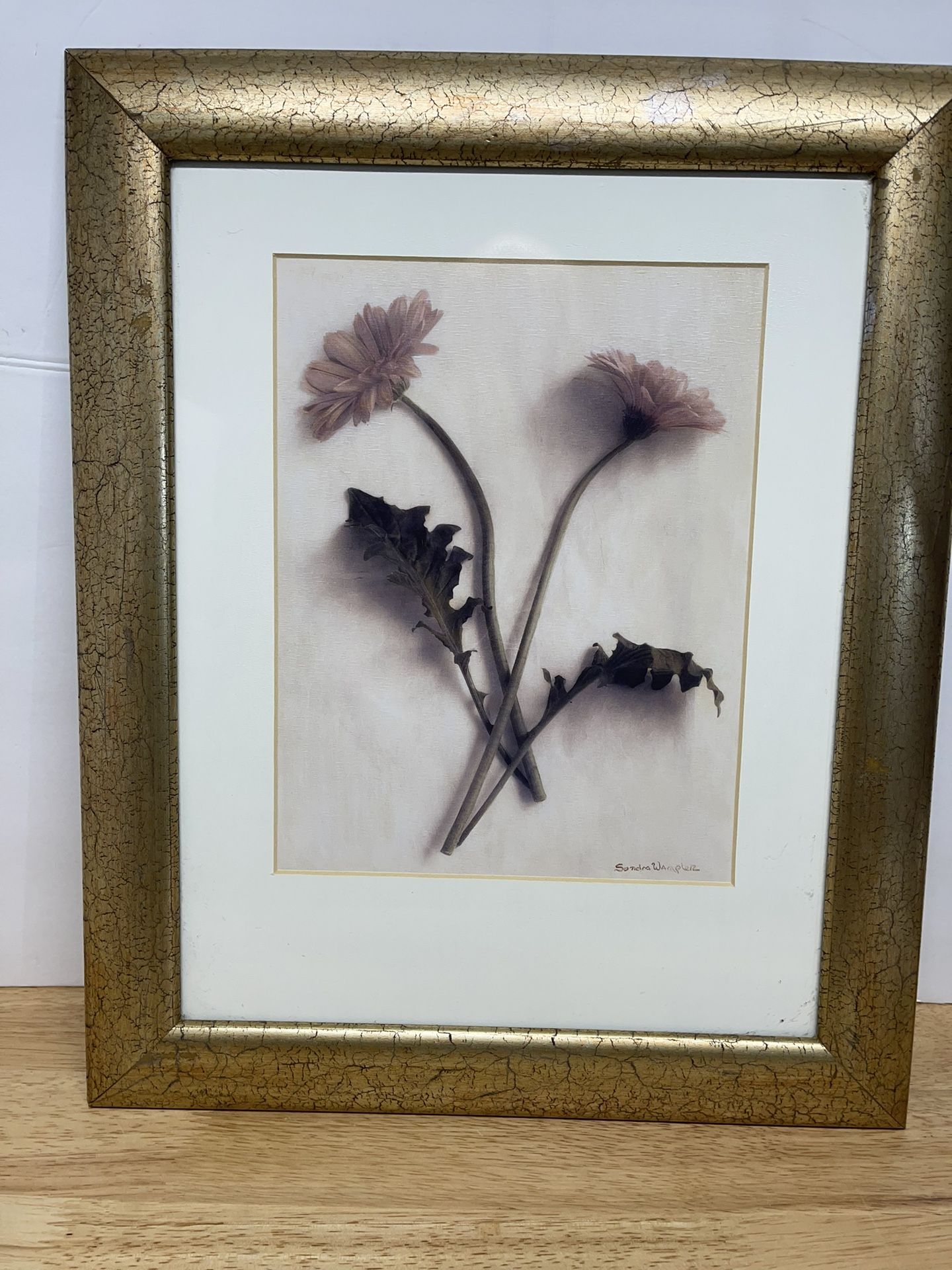 Sondra Wampler Flowers