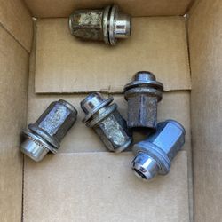 Toyota / Lexus Lug Nuts