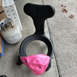 Balance Ball Chair