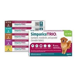 flea & tick control