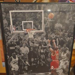 Michael Jordan picture
