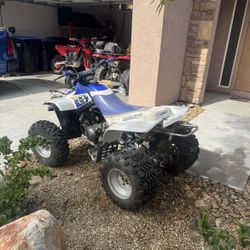 2001 Warrior 350cc Bored To 450cc 