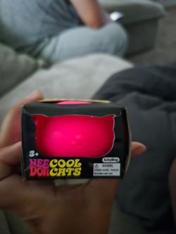 Needoh Cool Cats