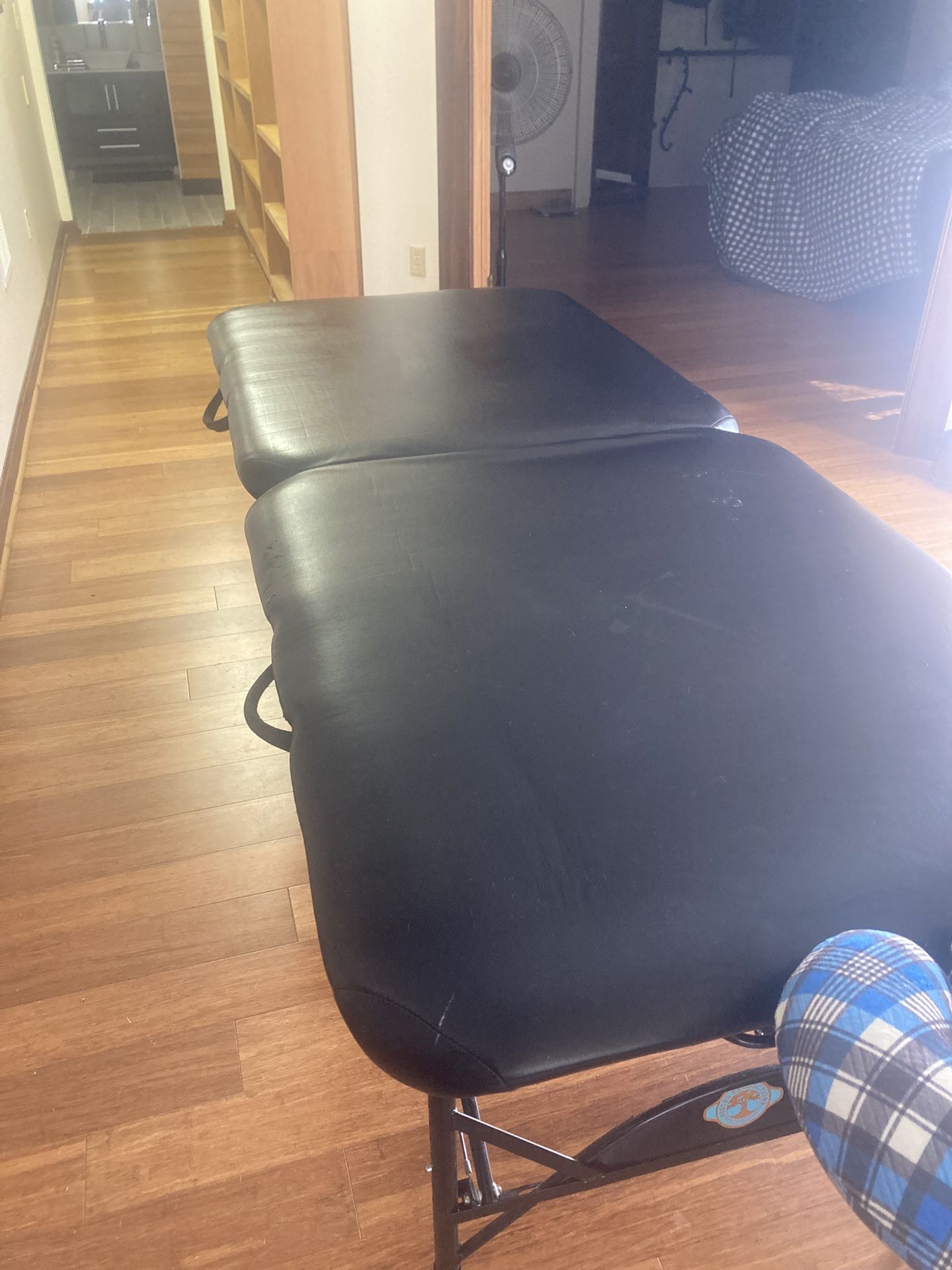 Original Pisces Pro Massage table 