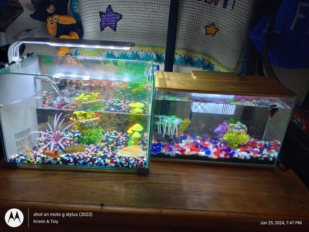 2 Complete Beta Fish Tanks