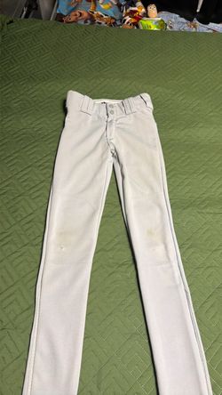 Softball or baseball pants