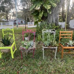 Succulent Chairs 