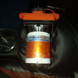 Rv Water Pump
