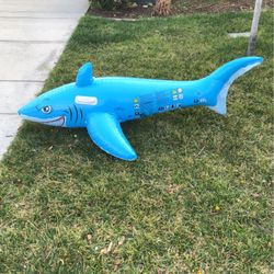 Inflatable Shark