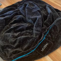 LoveSac The Big One Cover