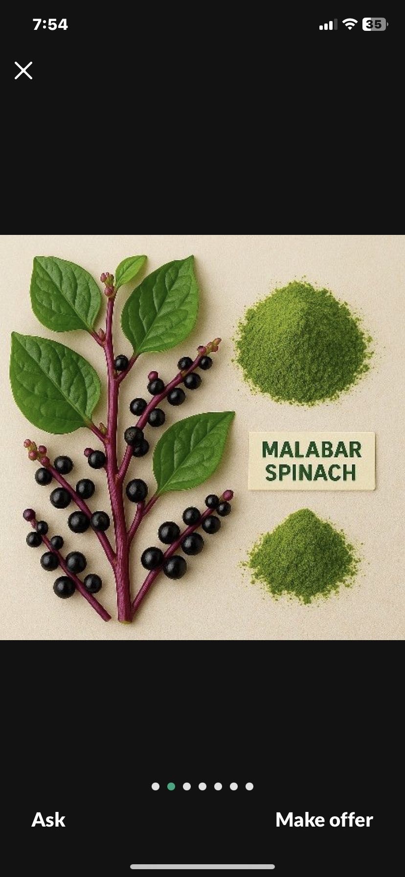 Parras De Espinaca Malabar