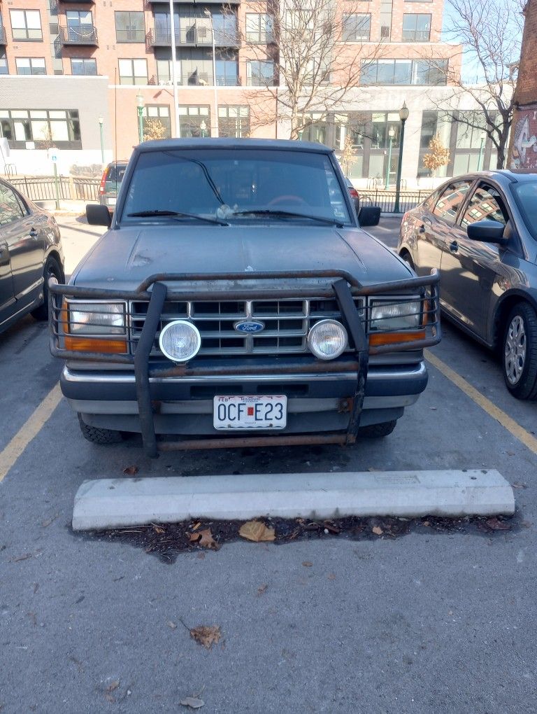 Truck Brush Guard