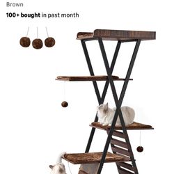 Brand New Cat Tree!