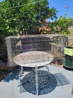 Free cages