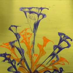 Two Colors, Two Flowers, Two Worlds