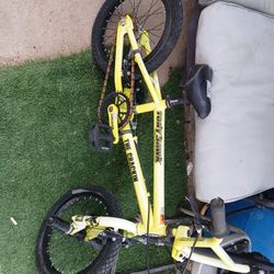 Tony Hawk Crackin BMX