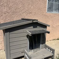 Dog House 