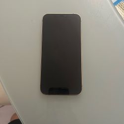 12 Pro Max (Broken Camera)