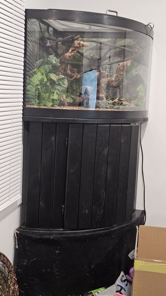 Large Corner Fish Tank with Cabinet Or Habitat For Reptile