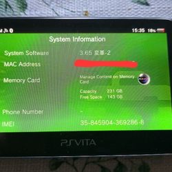 Modded PS Vita with Games / PSP Games / 256GB SD2Vita / Charger