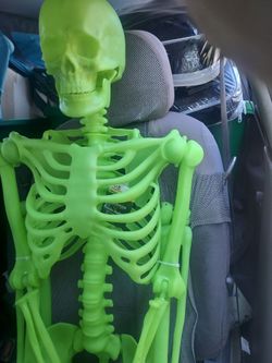 Glow in the dark Halloween Posable Skeleton Decoration